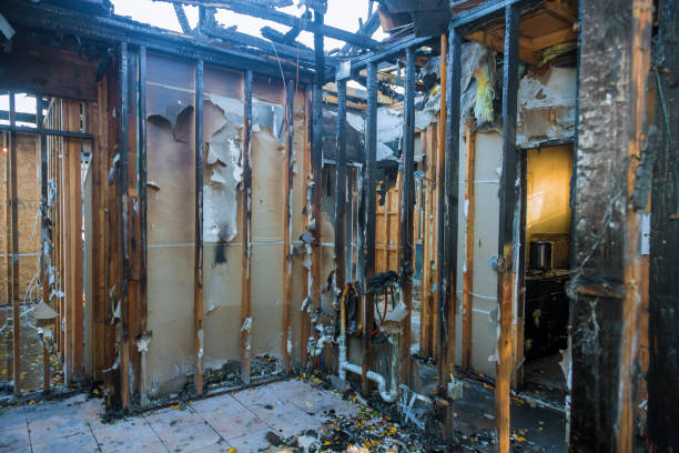 Professional Emergency Fire Cleanup technician working in Plant City, FL