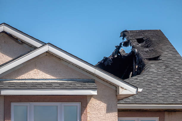 Top rated local Emergency Fire Cleanup specialists in Plant City, FL